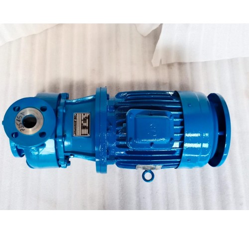 CHUND CHUAN PUMP BS40-130 WATER PUMP